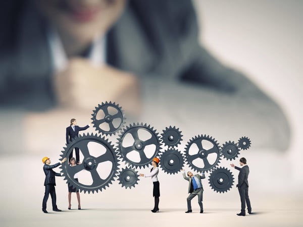 Employment & Labor Services
